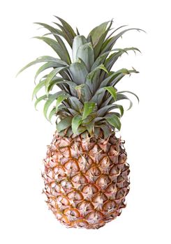 Isolated image of a pineapple.