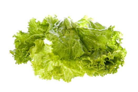 Isolated image of fresh salad.