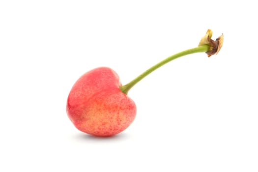 Red cherry �n a white background