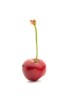 Red cherry �n a white background