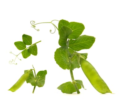 Garden fresh peas, on white                               