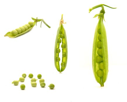 Garden fresh peas, on white                               