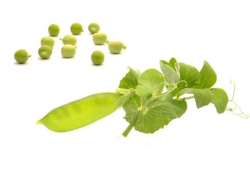 Garden fresh peas, on white                               