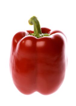 Isolated macro image of a red capsicum.
