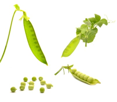 Garden fresh peas, on white                               