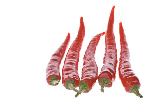 Isolated macro image of red chillies.