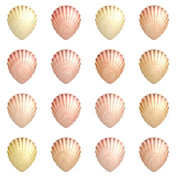 Seashell Background with a Aquatic Theme Art