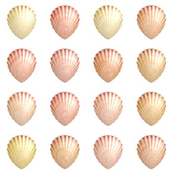 Seashell Background with a Aquatic Theme Art