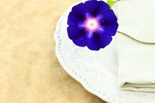Place setting with Morning Glory and napkin. 