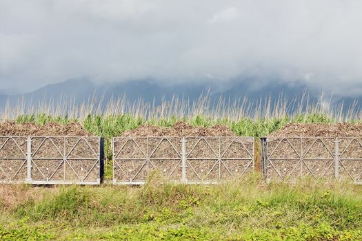 A train filled with sugar cane harvest. Sugar cane fields and cloudy mountains in the background. 