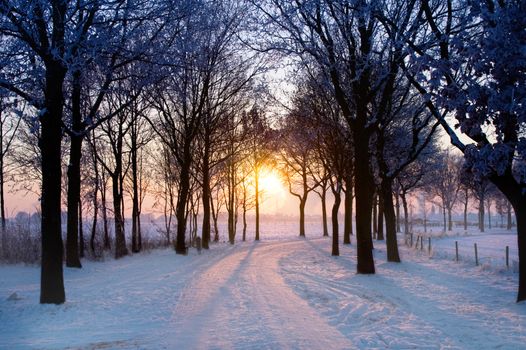 scenic winter landscape with sunset trough some trees coming