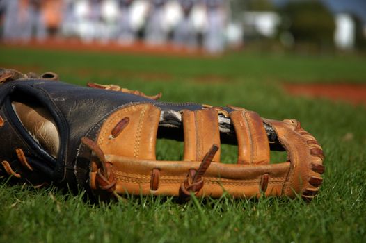 Baseball glove dropped in green grass