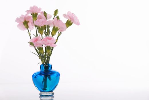 Pink carnations in blue vase with soft reflection