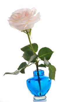 Single pink rose in blue vase isolated