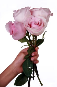 Child's hand holding bouquet of pink roses