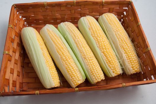 Close-up of a basket of fresh corn on cob.