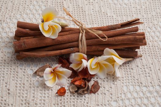 Bunch of cinnamon sticks with almond on the white tablecloth .