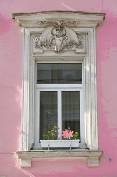 Old Moscow, Window of the Old-time Building with Flower and Bat