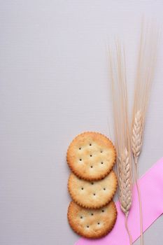 Fresh cookies strewed by salt on a grey background with a dry cone.