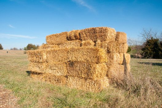 Fresh piled hay under bright blue sky