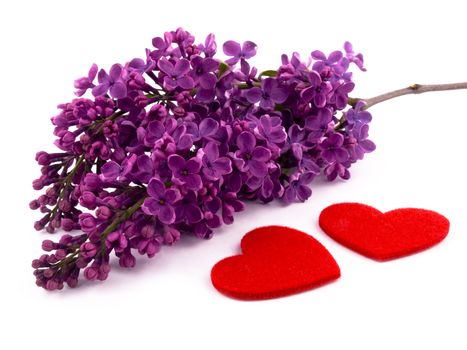 Bunch of lilac and two red hearts on white background.