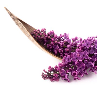 Closeup picture of beautiful purple lilac in wooden decoration