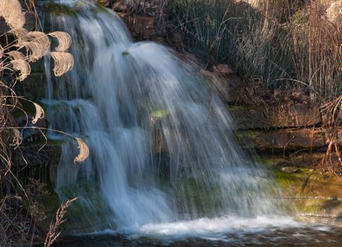 Water running on bothanical gardens on a winter day