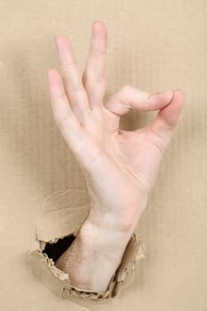 Gesture male hand through from hole in cardboard