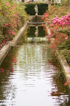 Pond with blooming azalea and statue in formal garden