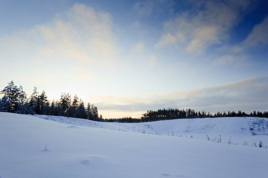 Winter landscape from finland with snow