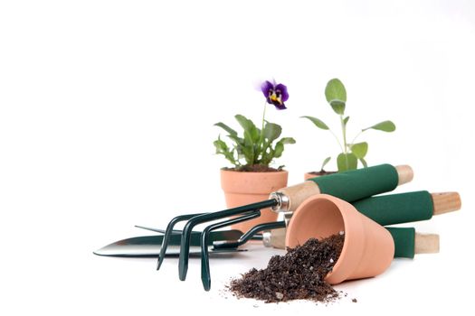 Gardening Supplies With Copy Space for Your Text