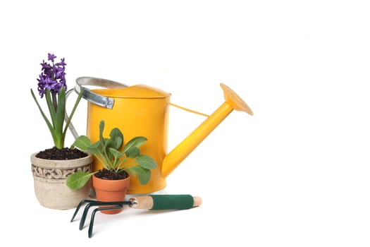 Spring Time Gardening With Watering Can, Trowel and Plantings on White Background