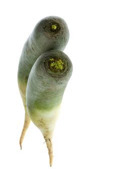 Isolated image of green Chinese radish.