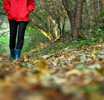 Autumn woman. Beautiful woman walking in the forest on a fall day.