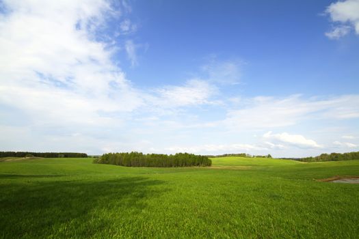 summer landscape