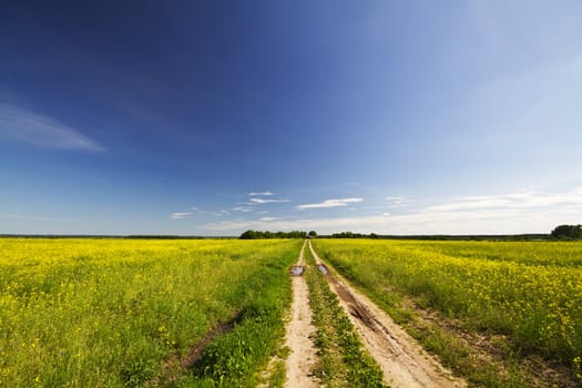 road rape field