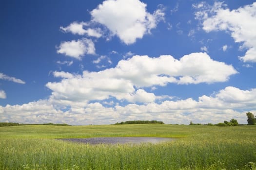 field of wheat, lake