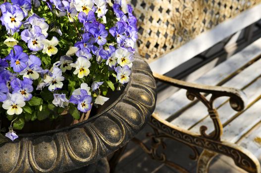 Planter with purple viola pansies and bench