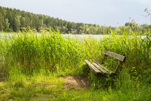 bench by the lake