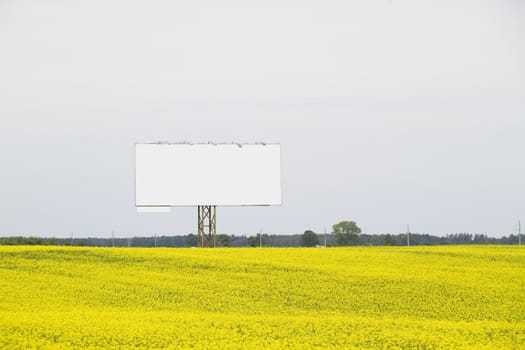 sign on rapeseed field