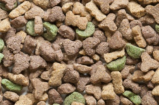 Dried pet food of many colors