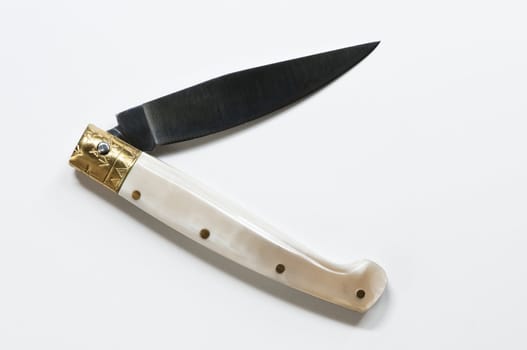 Traditional folding knife with horn handle
