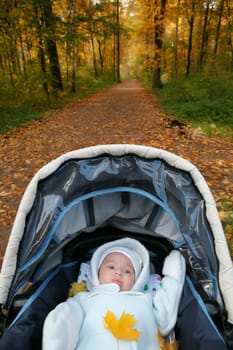 first autumn in life of my small son. Child in sidercar on the walk in autumn park
