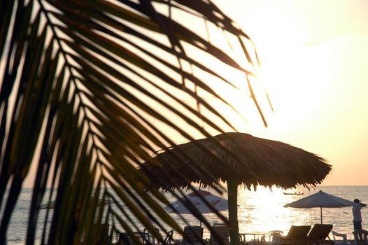 Silhouette of beach umbrella and palm tree during sunset over the beach of Puerto Escondido