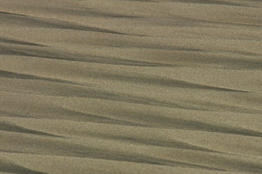 Detail of ripple structure in the beach sand