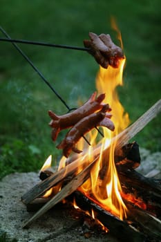 Roasting sausages on campfire in the garden