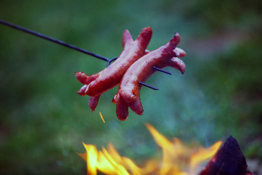 Roasting sausages on campfire in the garden