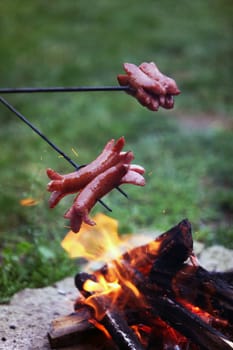 Roasting sausages on campfire in the garden