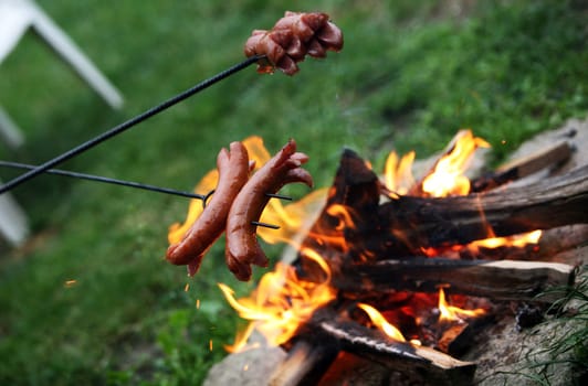 Roasting sausages on campfire in the garden