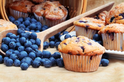 Delicious homemade blueberry muffins with fresh blueberries spilling from a wooden spoon and wicker basket. 